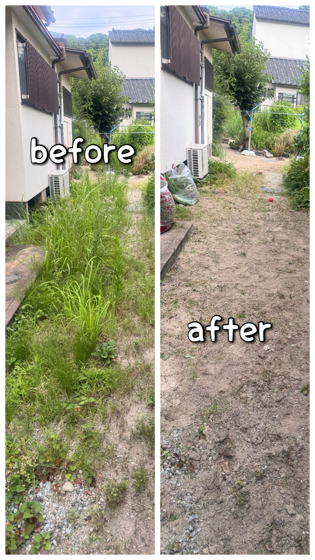 草むしり｜手作業でスッキリきれいに✨の画像